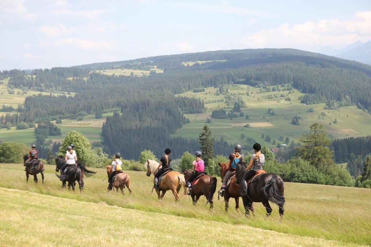 Domek Pod Zielonym Lasem Закопане Экстерьер фото